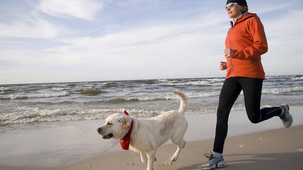 runner chasing dog running tips for beginners
