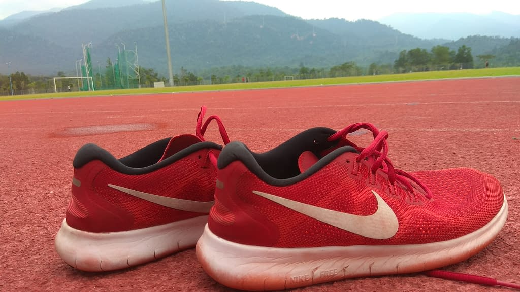 sloth running shoes
