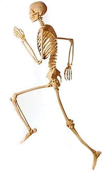 strong healthy bones running