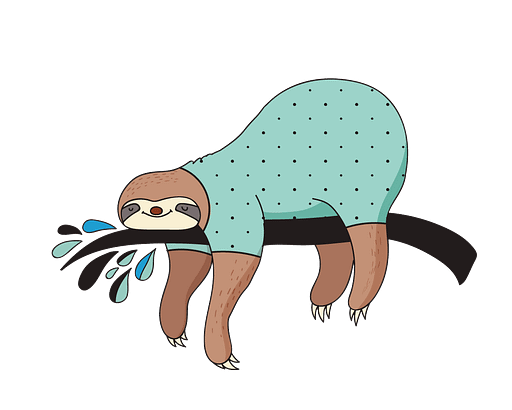 sloth to flash lazy