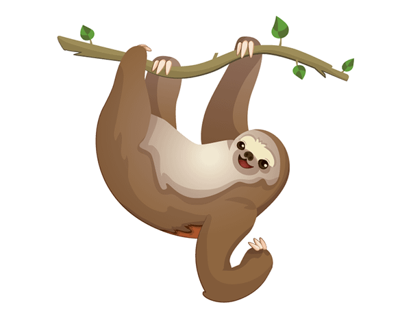 sloth to flash