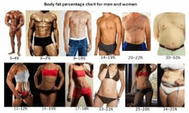 body fat percentage for men and women