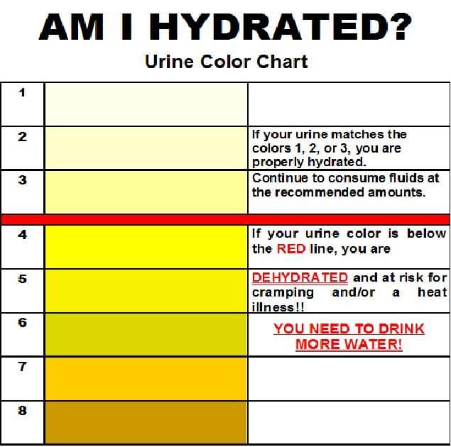 urine color chart 